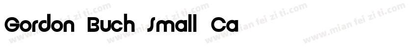 Gordon Buch Small Ca字体转换